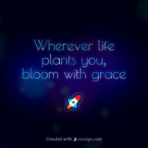 rocket-jvesign-name-styler-quote